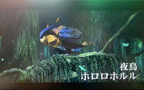 怪物猎人x夜鸟弱什么