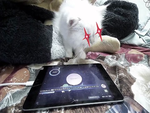 球球大作战如何定点吐[图2]