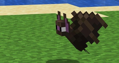 我的世界蝙蝠吃什么[图2]