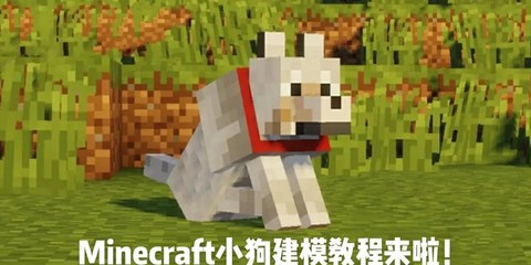 我的世界狗怎么变黑了[图1]