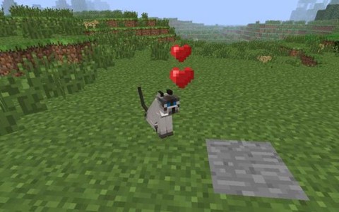 我的世界豹猫怎么骑