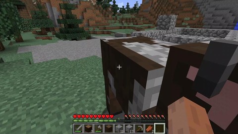 1.2我的世界有什么[图1]